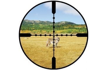Image of Burris Ballistic Mil Dot Reticle View