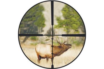 Image of Burris BalPlex Reticle