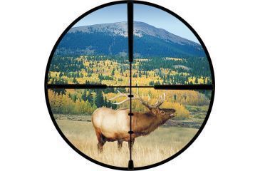 Image of Burris 3.5-10x50mm Fullfield2 Scope, Matte Black w/ Ballistic Plex Reticle 200172