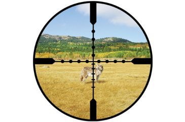 Image of Ballistic Mil-Dot Reticle