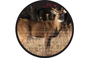 Image of Burris Oracle 2 Rangefinding Bow Sight