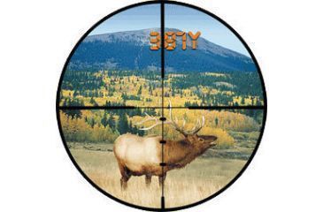Image of Burris Ballistic Plex Reticle