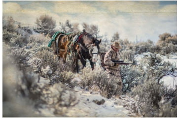 Image of Burris Veracity 5-25x50 mm Rifle Scope, 30 mm Tube, First Focal Plane, Black, Matte, Non-Illuminated Ballistic Plex E1 FFP Varmint Reticle, MOA Adjustment, 200650