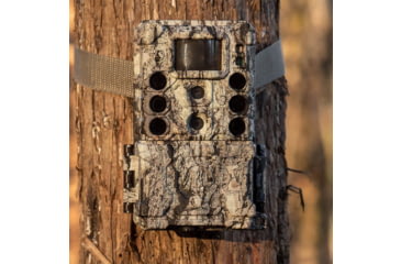 Image of Bushnell Core DS4K True Target