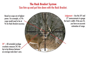 Image of Bushnell R3 3-9x50mm Rifle Scope with DOA Quick Ballistic, 1in Tube, Second Focal Plane, Black, Small, R3-3950S11