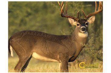 Image of Caldwell Natural Series Deer Target 234412