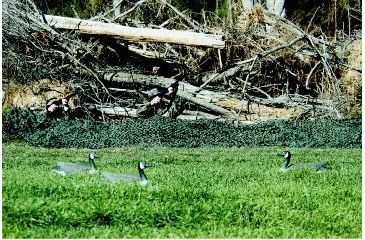 Image of Camo Unlimited Camouflage MS01B