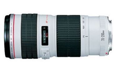 Image of Canon EF 70-200mm f/4L USM Lens