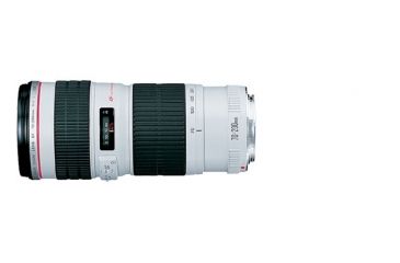 Image of Canon EF 70 - 200mm f/4L USM Lens 2578A002