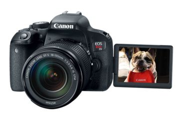 Image of Canon EOS Rebel T7i EF-S 18 - 135mm IS STM Kit, Black, 1894C003