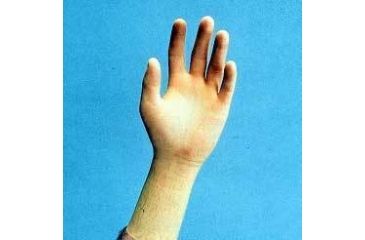 Image of Cardinal Health CR100 Sterile Latex Gloves, Cardinal Health 2Y1628