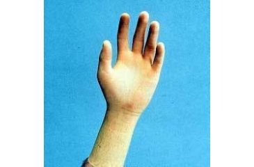 Image of Cardinal Health CR100 Sterile Latex Gloves, Cardinal Health 2Y1630