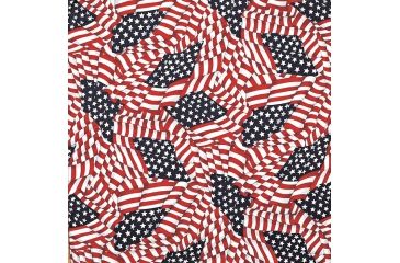 Image of Carolina Manufacturing American Flag B22AME-000114