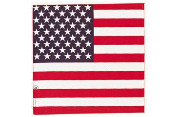 Image of Carolina Manufacturing American Flag B22AME-000114