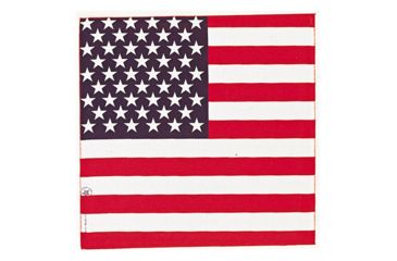 Image of Carolina Manufacturing American Flag B22AME-000114
