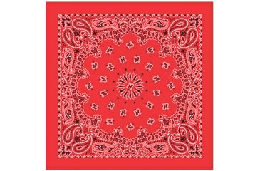 Image of Carolina Manufacturing Bandana Paisley Terracotta B22PAI-000014
