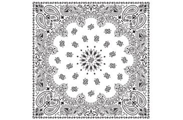 Image of Carolina Manufacturing Bandana Paisley Terracotta B22PAI-000014