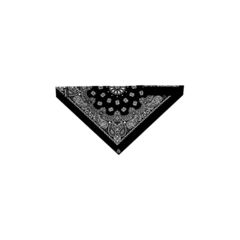 Image of Carolina Manufacturing Dust Bandit Black Paisley DBABAN-000924