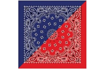 Image of Carolina Manufacturing Split Paisley Navy/red B22PAI-000201