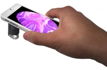 Image of Carson MicroMaxPlus 2 LED Microscope w/ iPhone 5 Adapter, White MM-255