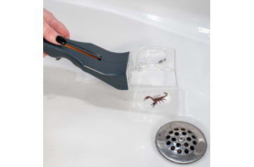 Image of Carson Optical Humane Bug Catcher Tool for Insect Catch-and-Release w/ 5x Magnifier, Gray, 2.2 in x 1.6 in x 10.5 in, HU-30