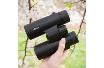 Image of Carson Optical VX Series 10x42mm Porro Prism Binoculars, Black, VX-042