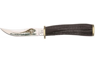 Image of Case Buffalo Horn 7in Pheasant Hunter Knife, BH23-3 1/4 SS, with Leather Sheath in Gift Tin, 17917