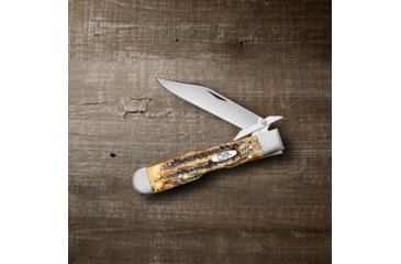 Image of Case Cheetah Folding Knife, 4.38 in, Tru-Sharp Surgical Steel, Case 6.5 BoneStag Handle, 65319