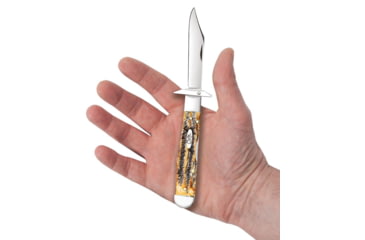 Image of Case Cheetah Folding Knife, 4.38 in, Tru-Sharp Surgical Steel, Case 6.5 BoneStag Handle, 65319