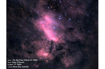 Image of Celestron 11in Rowe-Ackermann Schmidt Astrograph V2, 91076