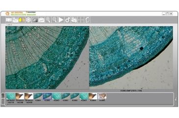 Image of Celestron HD 5MP Digital Microscope Imager, Black 44422