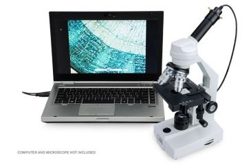 Image of Celestron HD 5MP Digital Microscope Imager, Black 44422