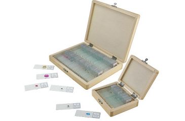Image of Prepared Microscope Slide Sets