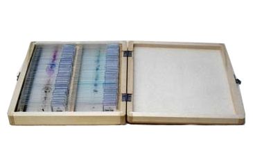 Image of 100 Piece Slides Set - 100pc