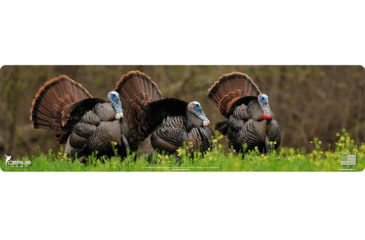 Image of Cerus Gear Magnum XXL 14x48 Eastern Tom Promat - Full Color, MM-TOM-STRUT-LIF-FC