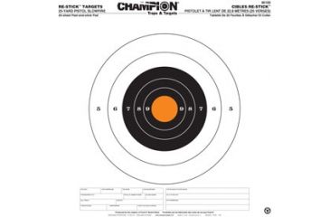 Image of Champion Traps and Targets 46100 Re Stick 25 Yd Pistol Slowfile Target 14 5x14 5