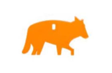 Image of Champion Impact Steel Coyote Target Rimfire, Sticker, Orange, 44917C