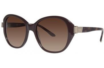 Image of Chloe CL2261 Sunglasses - Frame Chocolate CL226102