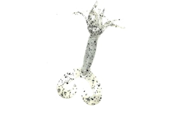 Image of Chompers Skirted Grub Double Tail Grub, 1, 5in, Salt &amp; Pepper, HG5D10-7