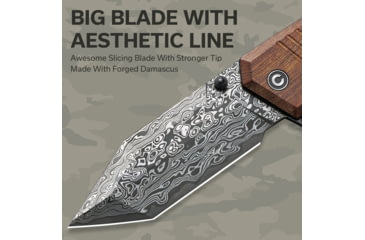 Image of CIVIVI Bhaltair Linerlock Damascus