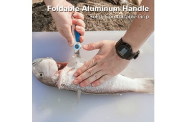 Image of Civivi Knife Shawka 5.81 Silver Blue Folding Fillet Knf