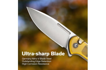 Image of CIVIVI Conspirator Knife - C21006-5