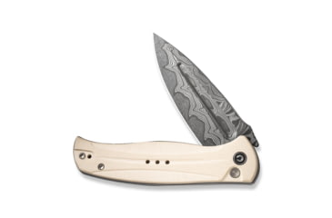 Image of CIVIVI Incindie Flipper &amp; Button Lock Knife - C23053-DS1