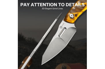 Image of CIVIVI Propugnator Knife - C23002-3