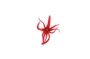 Image of Clam Maki Neki