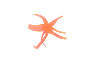 Image of Clam Maki Neki