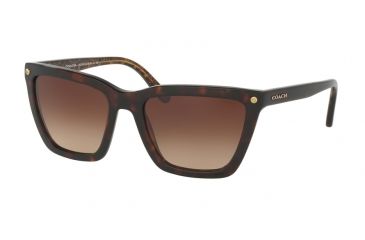 Image of Coach HC8191F Sunglasses 539413-56 - Dark Tort/Dark Tort Gold Sig C Frame, Smoke Gradient Lenses