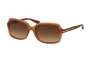 Image of Coach L087 BLAIR HC8116 Sunglasses 525113-56 - Milky Saddle Frame, Brown Gradient Lenses