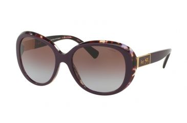 Image of Coach L094 CARTER HC8120 Sunglasses 537868-57 - Purple Tortoise Frame, Brown Purple Gradient Lenses