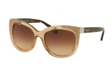 Image of Coach L152 HC8171 Single Vision Prescription Sunglasses HC8171-536913-56 - Lens Diameter 56 mm, Frame Color Crystal Light Brown/Dark Tortoise
